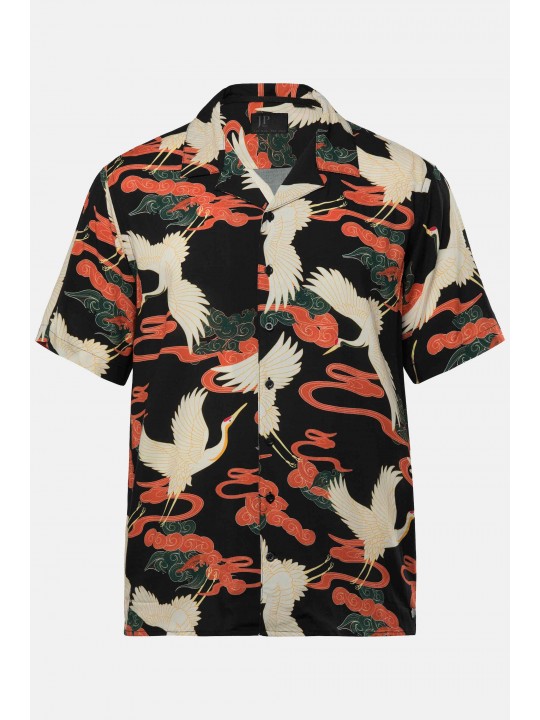 Πουκάμισο σε ίσια γραμμή με σχέδιο, JP1880