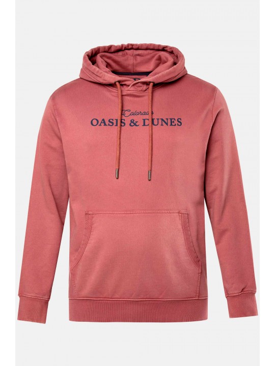 Μπλούζα φούτερ σε vintage look με σχέδιο στο στήθος, JP1880