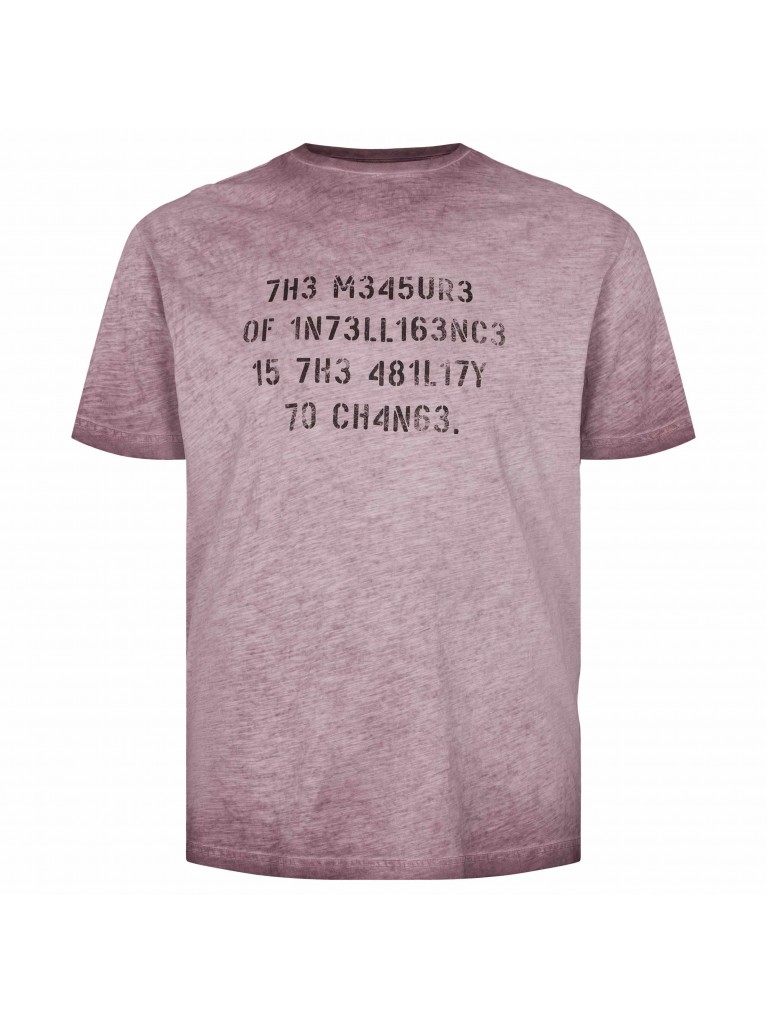 T-shirt με επεξεργασία cooldye και τύπωμα North 56Denim