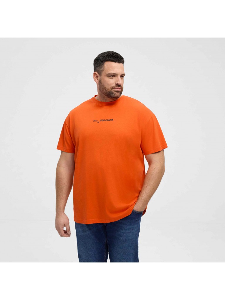 T-Shirt με διακριτικό τύπωμα μπροστά, North Latitude Denim