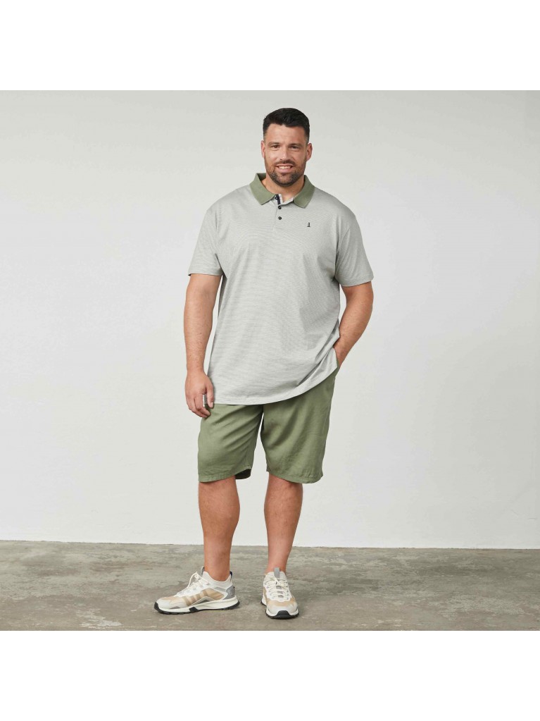 Μπλούζα polo ριγέ με κοντά μανίκια, North Latitude