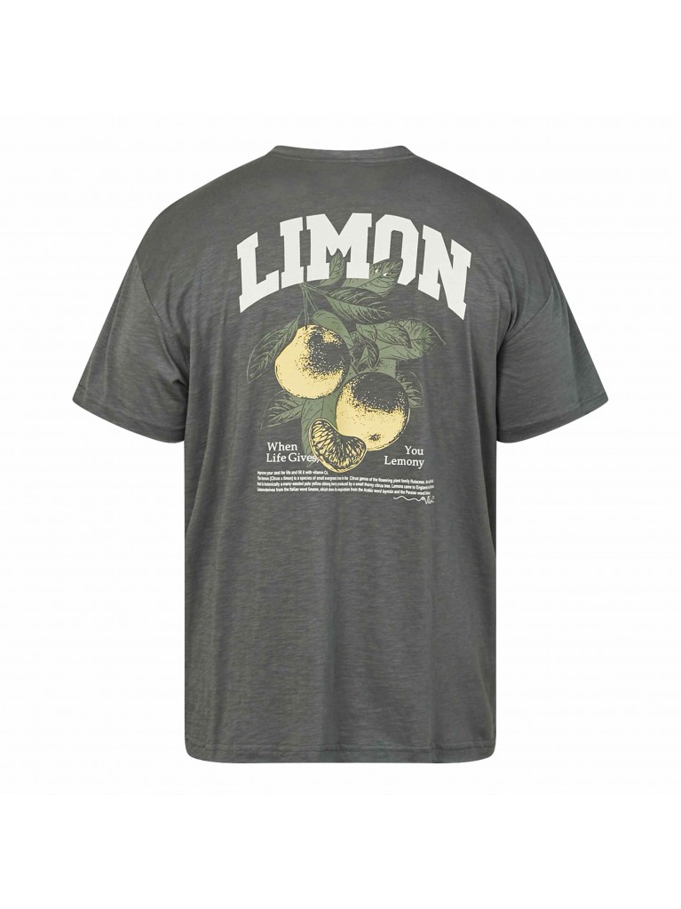 T-shirt με μεγάλο τύπωμα lemon στην πλάτη, North Latitude Denim