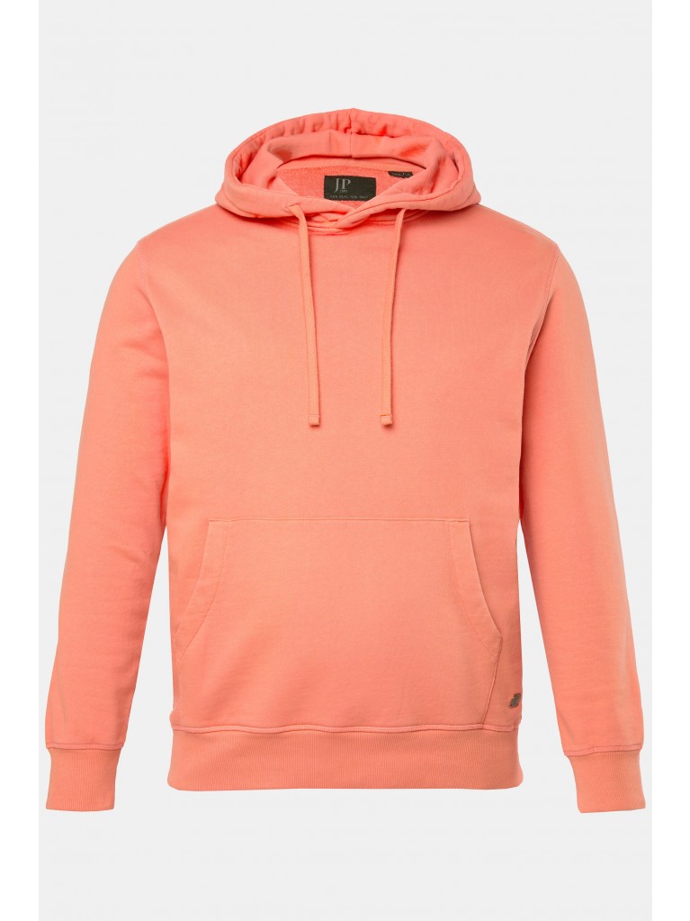 Μπλούζα φούτερ σε vintage look με ραμμένο το λογότυπο, JP1880