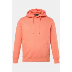 Μπλούζα φούτερ σε vintage look με ραμμένο το λογότυπο, JP1880