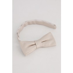 Σετ παπιγιόν και μαντήλι τσέπης, JP1880